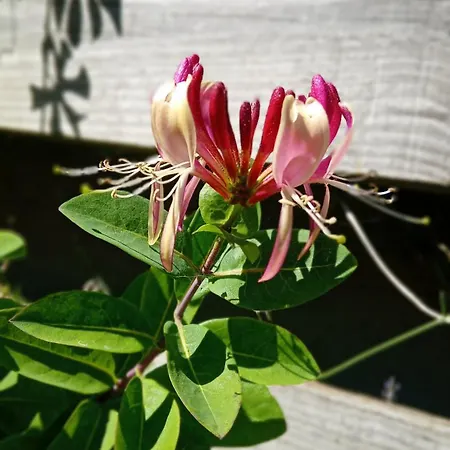 Maison Independante Climatisee A Deux Pas Des Plages, Confort Et Detente Assures *