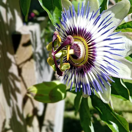 Holiday home Maison Independante Climatisee A Deux Pas Des Plages, Confort Et Detente Assures