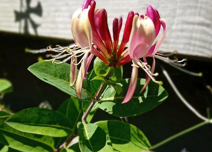 Maison Independante Climatisee A Deux Pas Des Plages, Confort Et Detente Assures *