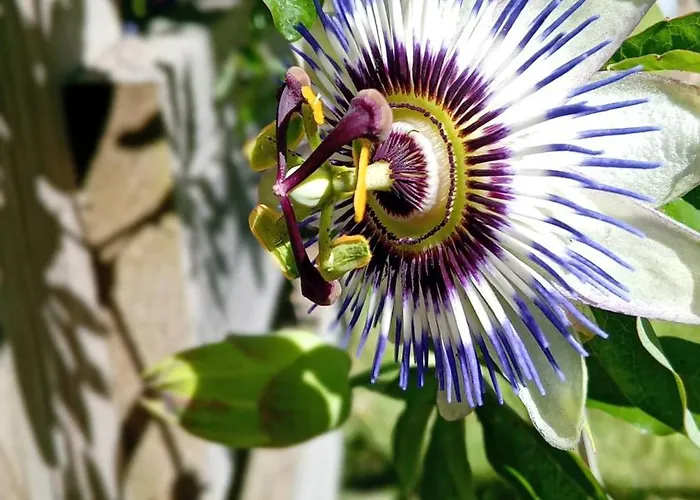 度假居 Maison Independante Climatisee A Deux Pas Des Plages, Confort Et Detente Assures